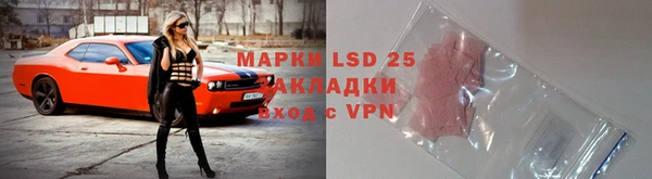 прущий лед Алзамай