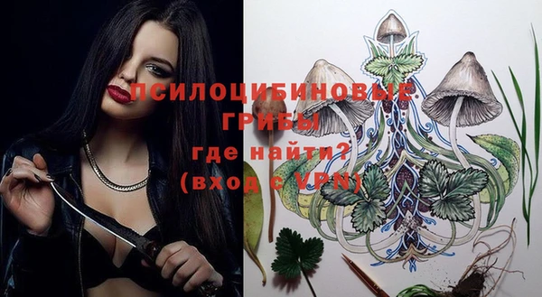 прущие грибы Алексин