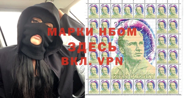 прущий лед Алзамай
