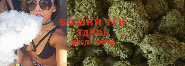 молекула духа Алексеевка