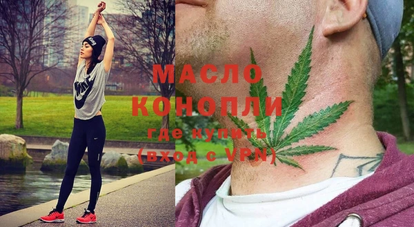 молекула духа Алексеевка