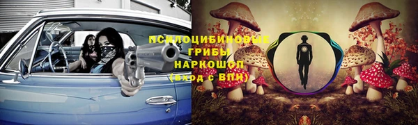 прущий лед Алзамай