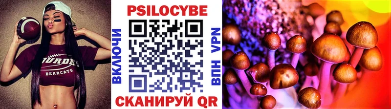 Псилоцибиновые грибы Psilocybine cubensis Дно